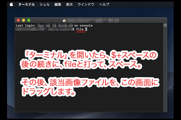 ターミナル使い方